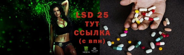 jwh Вязьма
