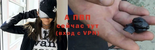 гашик Вяземский