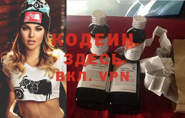 гашик Вяземский