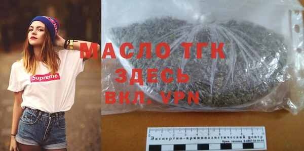 гашик Вяземский