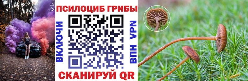Галлюциногенные грибы Psilocybe  Купить  Яранск 