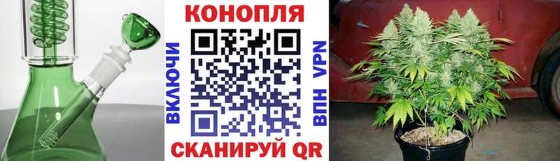 Купить где  Яранск  Каннабис ГИДРОПОН 